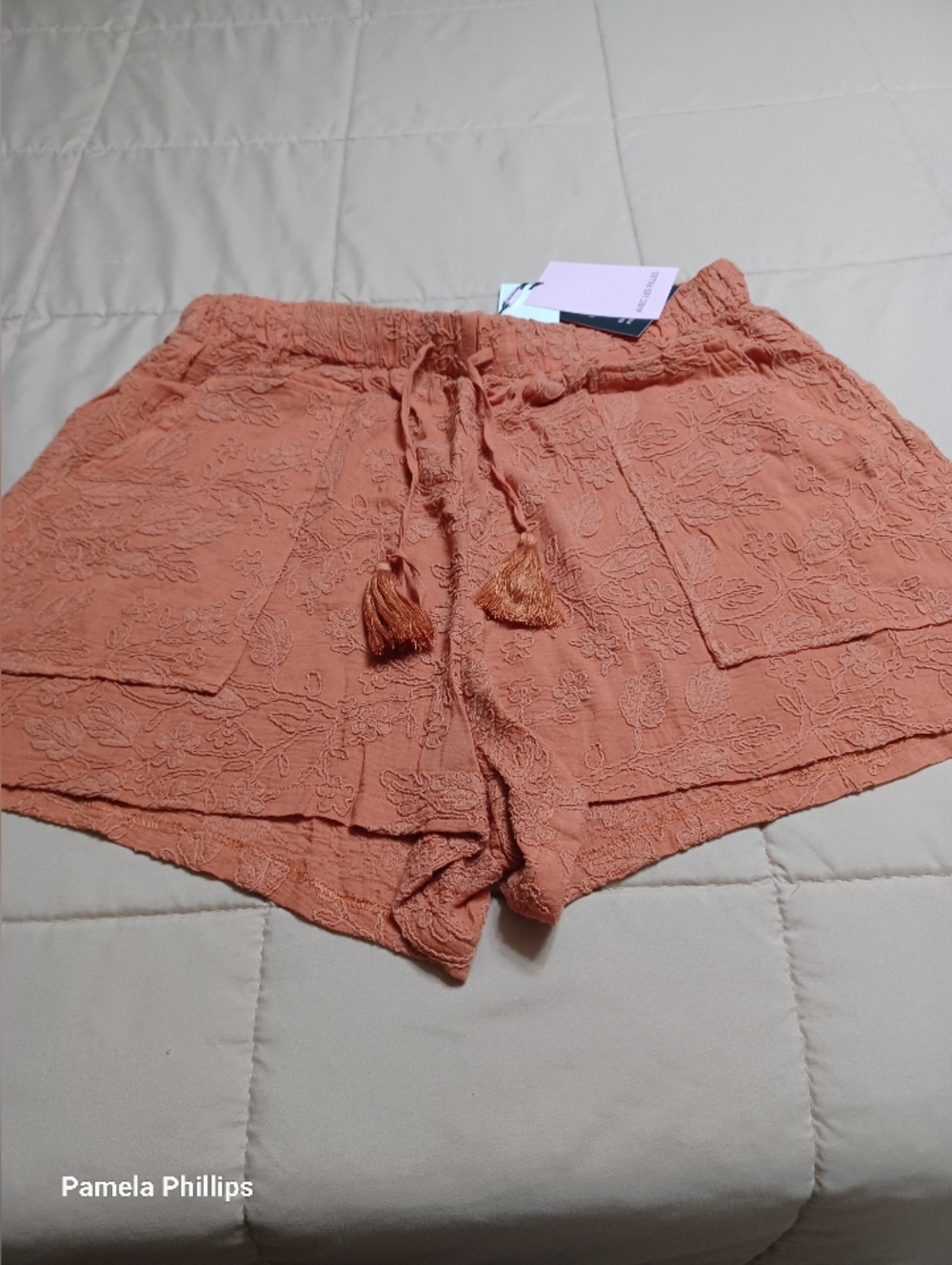 Avec Les Filles High-Waist Embroidered Shorts in Rust